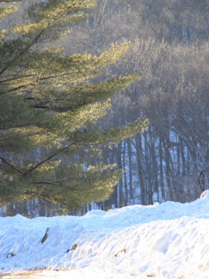 ir-110223_16-36_0965P.jpg