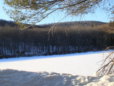 ir-110223_16-39_0967L.jpg
