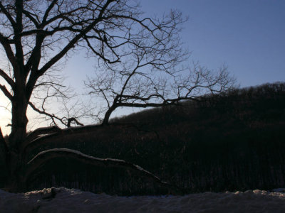 ir-110223_16-39_0968L.jpg