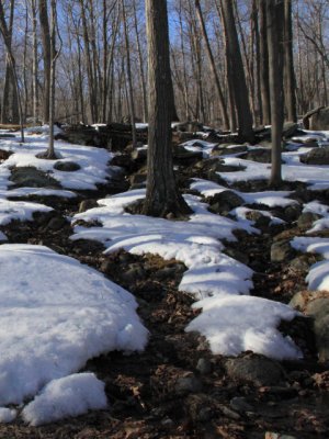 ir-110303_15-21_1025P.jpg