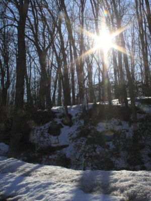 ir-110303_15-22_1029P.jpg