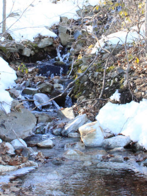 ir-110303_15-23_1032P.jpg