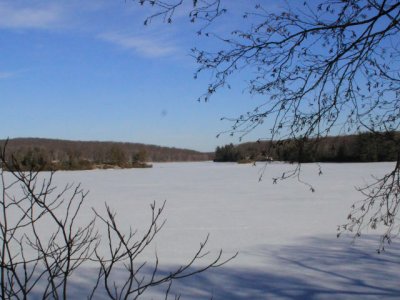 ir-110303_15-26_1037L.jpg
