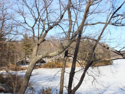 ir-110303_15-27_1038L.jpg
