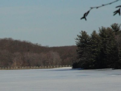 ir-110303_15-27_1040L.jpg