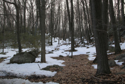 ir-110308_16-38_1139.jpg