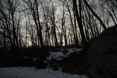 ir-110308_16-43_1140.jpg