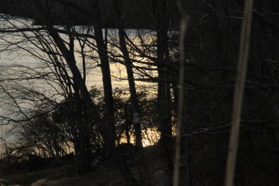 ir-110308_17-17_1158.jpg