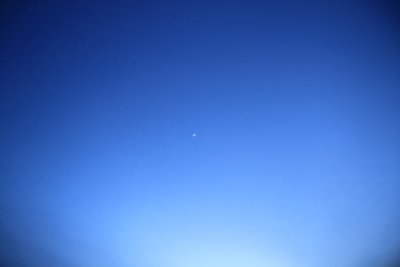 ir-110308_18-08_1192.jpg