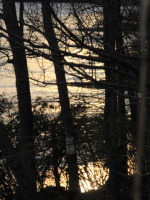 ir-110308_17-17_1158P.jpg
