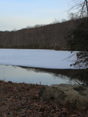 ir-110308_17-21_1163P.jpg