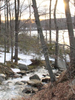 ir-110308_17-23_1166P.jpg