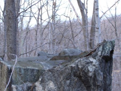 ir-110308_17-35_1178L.jpg