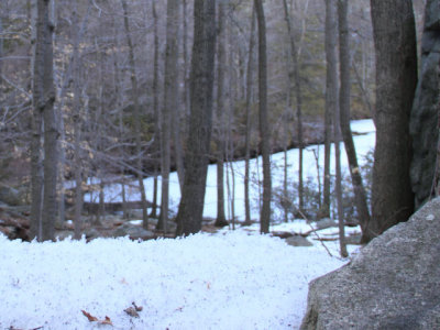 ir-110308_17-36_1179L.jpg