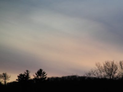 ir-110308_18-04_1188L.jpg