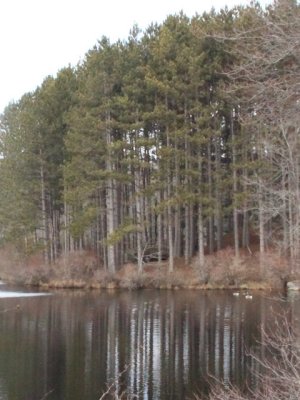 ir-110315_15-37_1339P.jpg