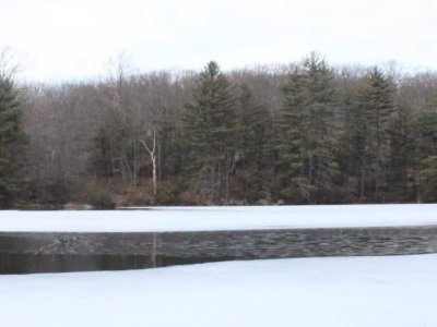 ir-110315_15-45_1346L.jpg