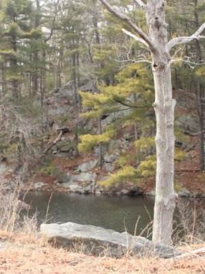 ir-110315_15-46_1347P.jpg