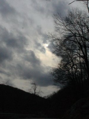 ir-110315_16-00_1361P.jpg