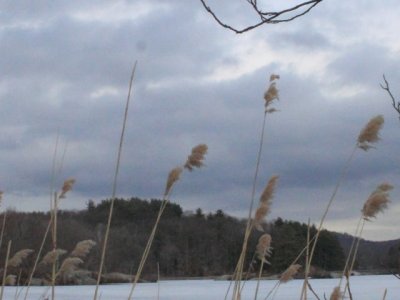 ir-110315_16-05_1367L.jpg