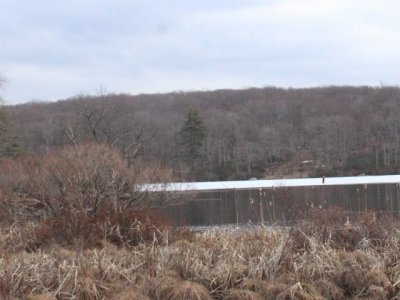 ir-110315_16-09_1373L.jpg