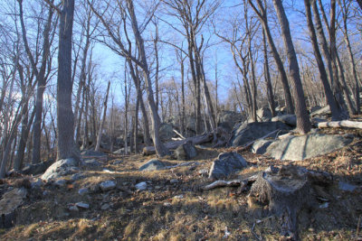 ir-110329_17-10_1542.jpg