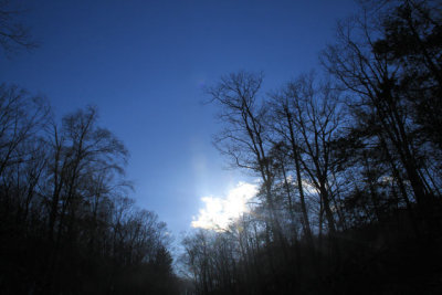 ir-110329_17-28_1548.jpg