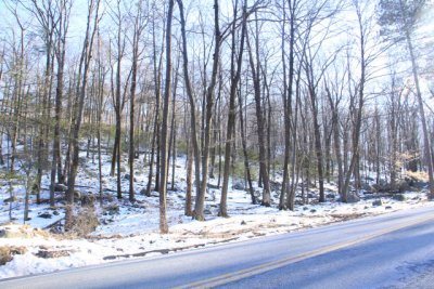 ir-110329_17-33_1551.jpg