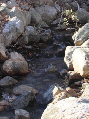 ir-110329_17-22_1546P.jpg