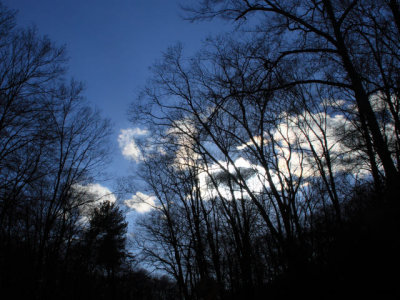 ir-110329_17-30_1550L.jpg