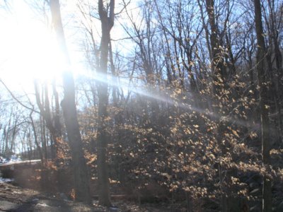 ir-110329_17-35_1553L.jpg