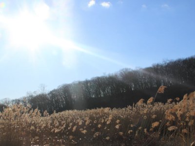 ir-110329_17-47_1564L.jpg
