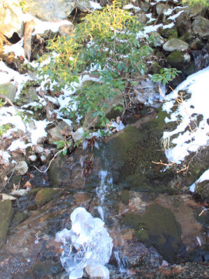 ir-110329_18-32_1598P.jpg