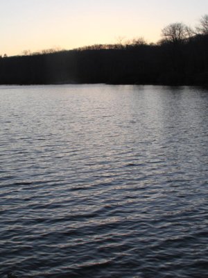 ir-110329_19-15_1616P.jpg