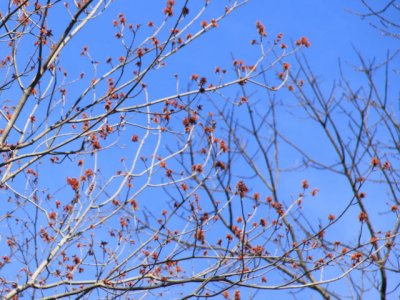 ir-110414_16-08_1885L.jpg