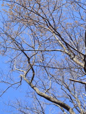 ir-110414_16-20_1889P.jpg
