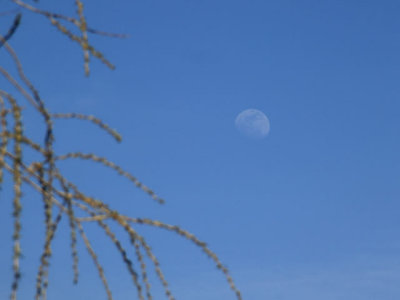 ir-110414_16-51_1914L.jpg
