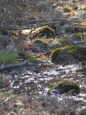 ir-110414_17-25_1922P.jpg