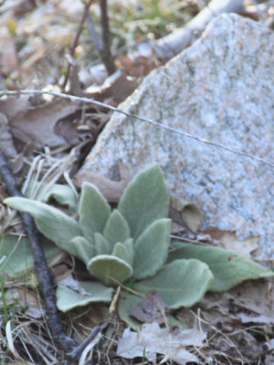 ir-110414_17-26_1923P.jpg