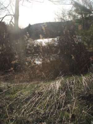 ir-110414_18-02_1932P.jpg