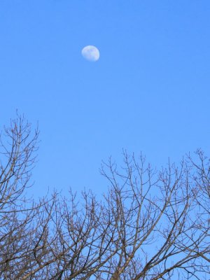 ir-110414_18-15_1936P.jpg