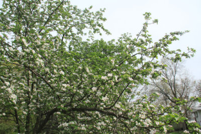 ir-110501_16-11_2068.jpg