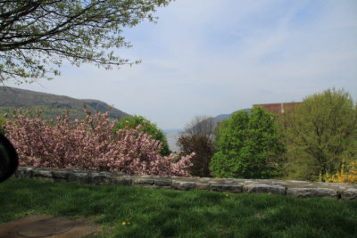 ir-110503_14-26_2113.jpg