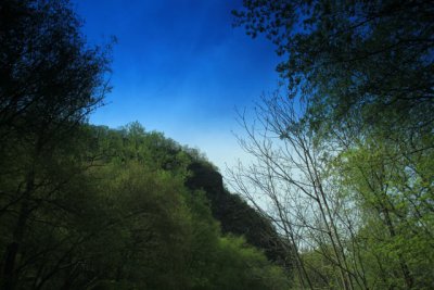 ir-110503_14-50_2125.jpg