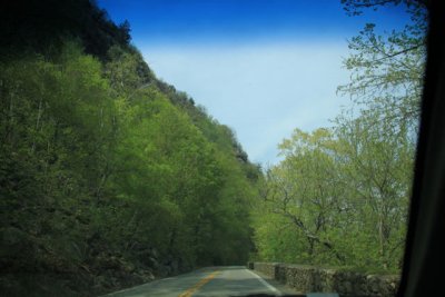ir-110503_14-52_2132.jpg