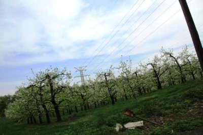 ir-110503_15-28_2160.jpg