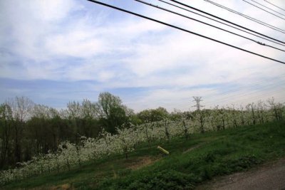 ir-110503_15-28_2161.jpg