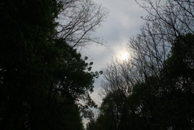 ir-110503_16-45_2196.jpg