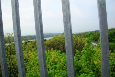ir-110503_17-06_2200.jpg