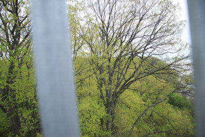 ir-110503_17-25_2218.jpg
